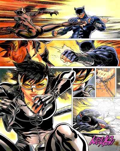 catwoman peleando con wildcat