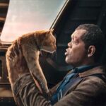 nick fury y goose